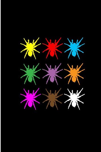 Spider: Colorful Spiders Perfect Gift Lined Notebook/Journal (6x9)