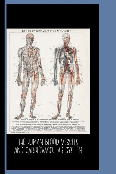 The Human Blood Vessels and Cardiovascular System (1898): College Ruled Notebook: Die Blutgefasse Des Menschen / Gallery and Museum Art