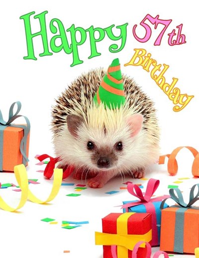 Happy 57th Birthday: Cute Hedgehog Birthday Party Themed Journal. Better Than a Birthday Card!