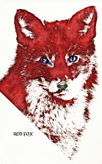 Red Fox: 5x8 Journal Notebook