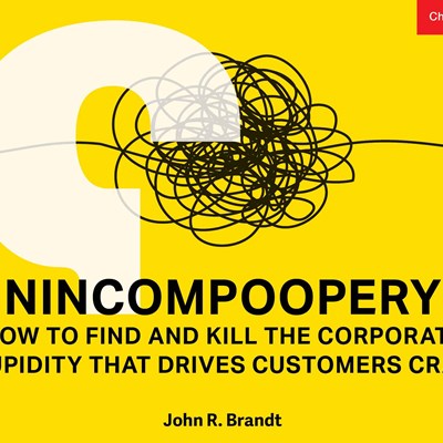 Nincompoopery: How to Find and Kill the Corporate Stupidity That Drives Customers Crazy 